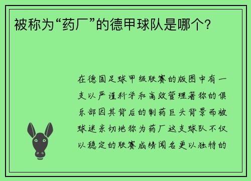 被称为“药厂”的德甲球队是哪个？